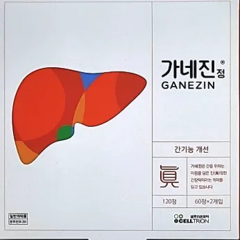 가네진 120정