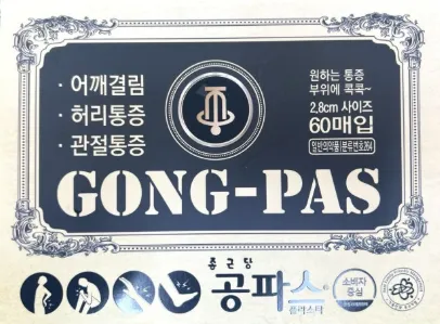 공파스 플라스타