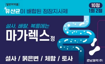 마가렉스정 10정