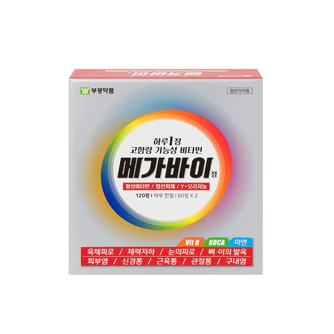 메가바이정 120정