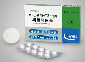 씨트메틴정 10mg