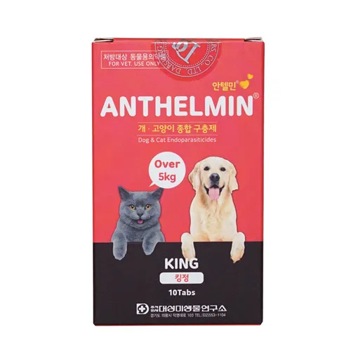안텔민 킹정 10정