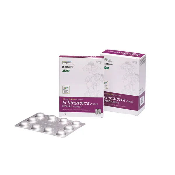 에키나포스 프로텍트정 10정