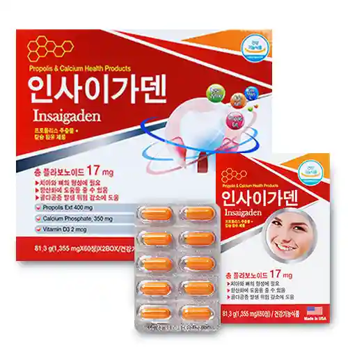 인사이가덴 60정 2박스