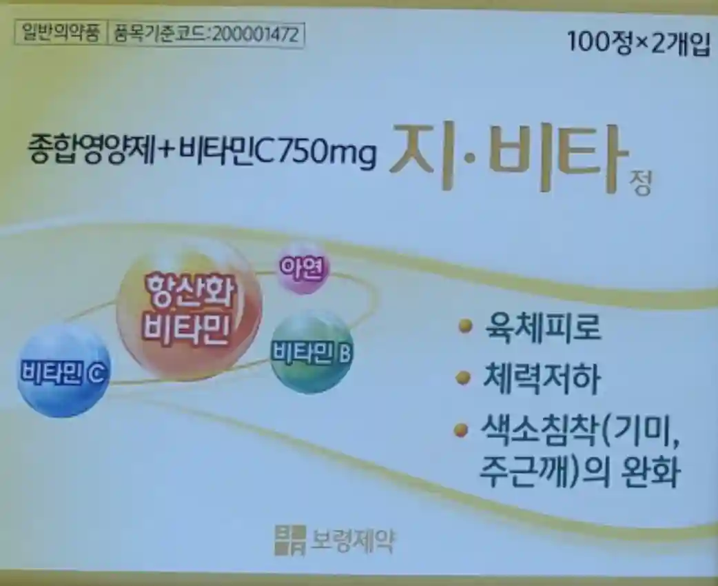 지비타정100정X2개입
