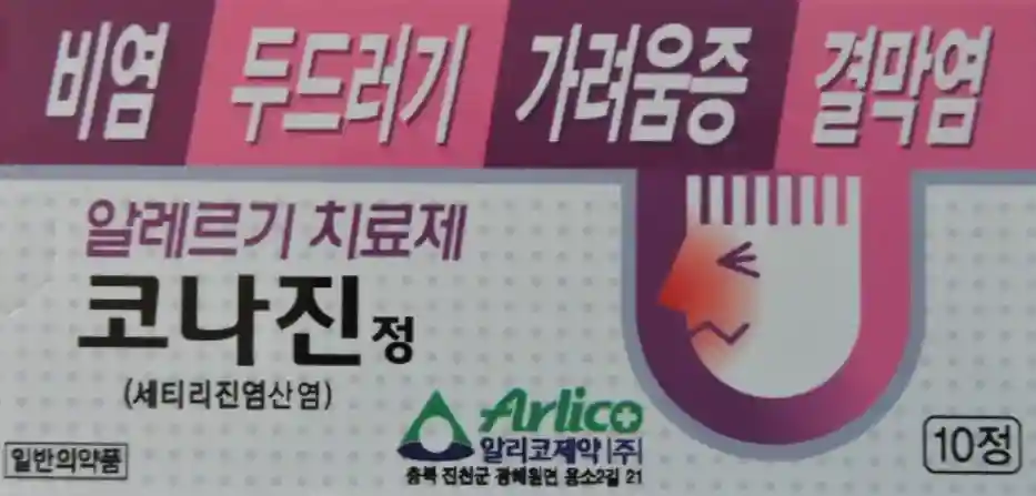 코나진정 10정