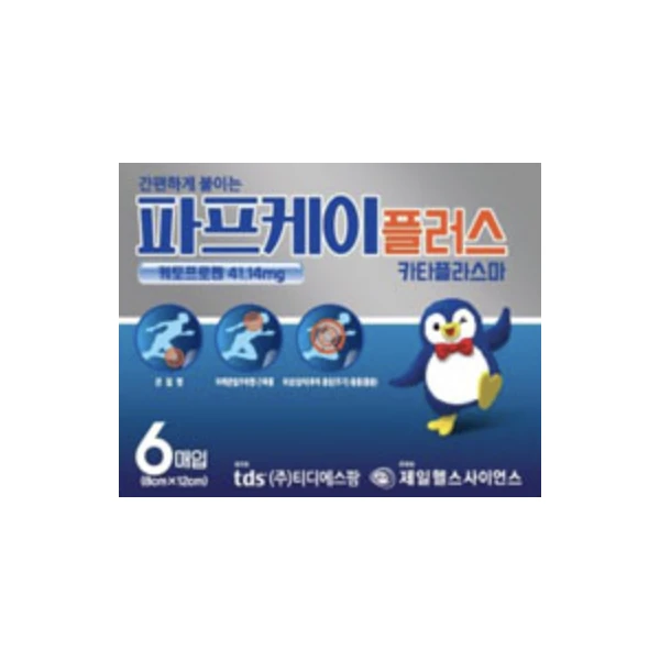 파프케이 플러스 카타플라스마 6매입